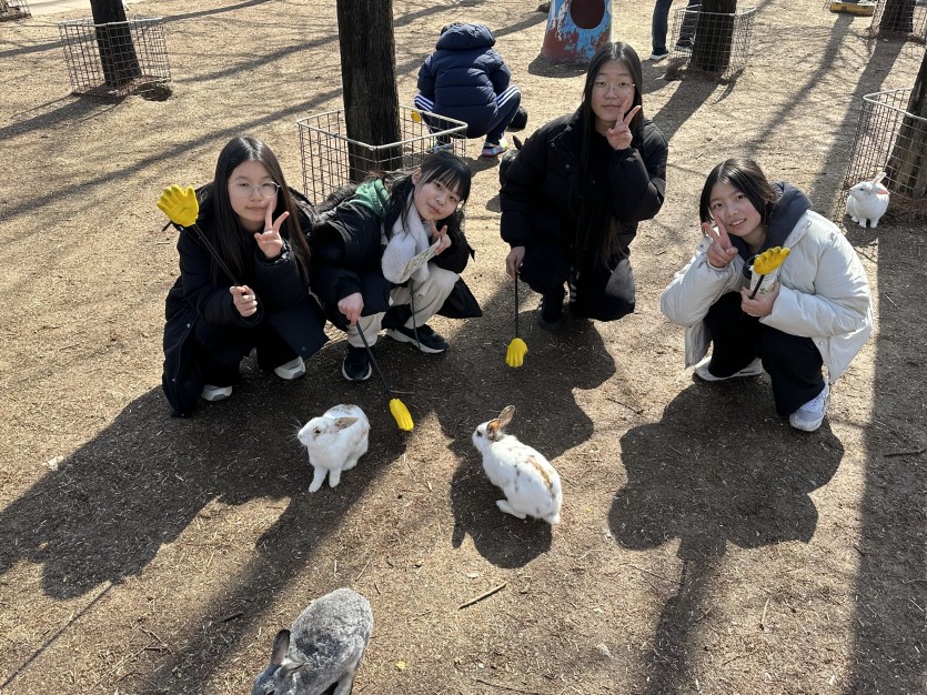 86e8885d1c756ae656b40944e2237d10_1709014379_8052.jpeg