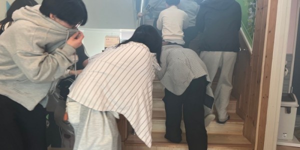 KakaoTalk_20250326_231501944.jpg